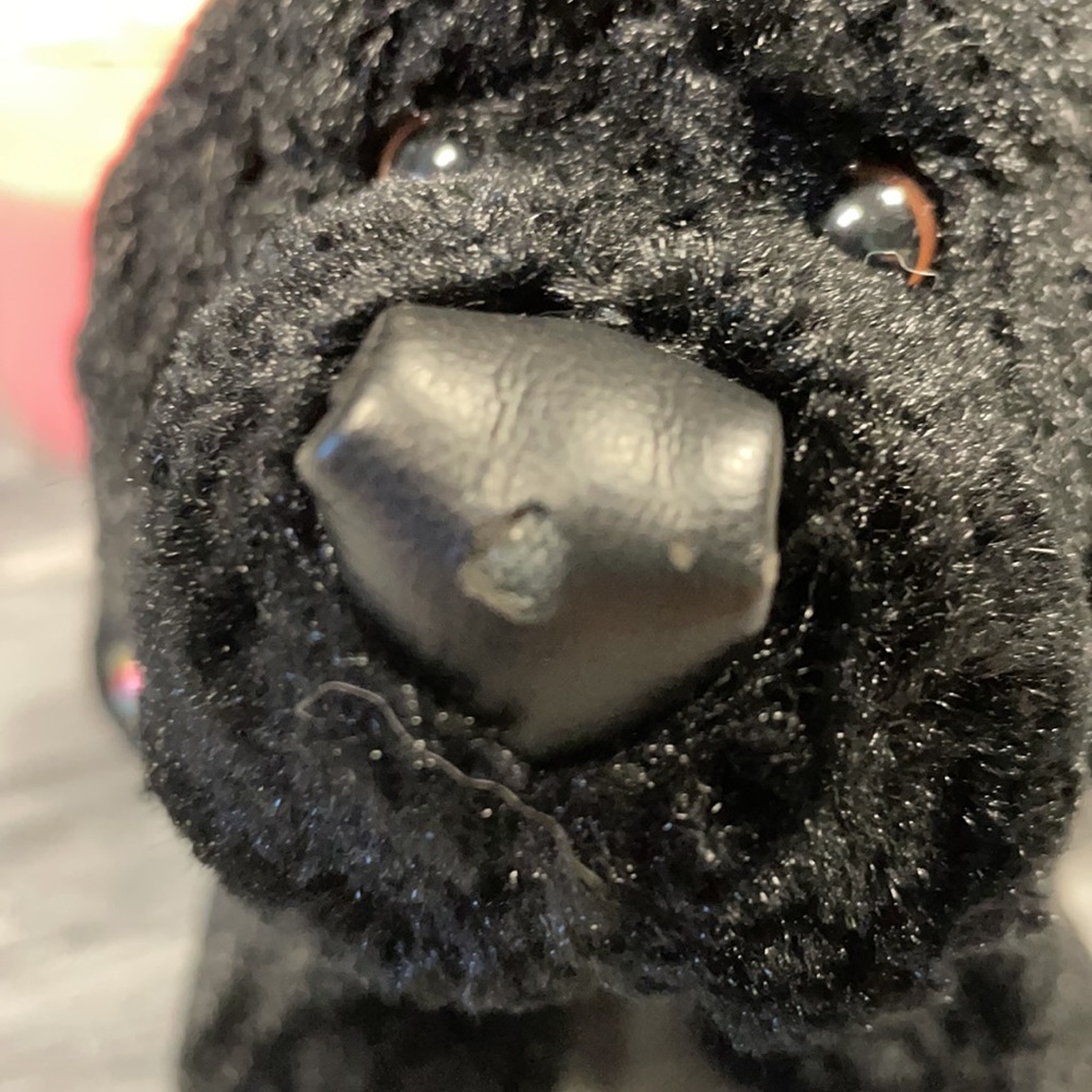 Webkinz Black Lab - Picture 2 of 6